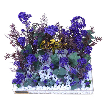 BLUE DESIGN 531